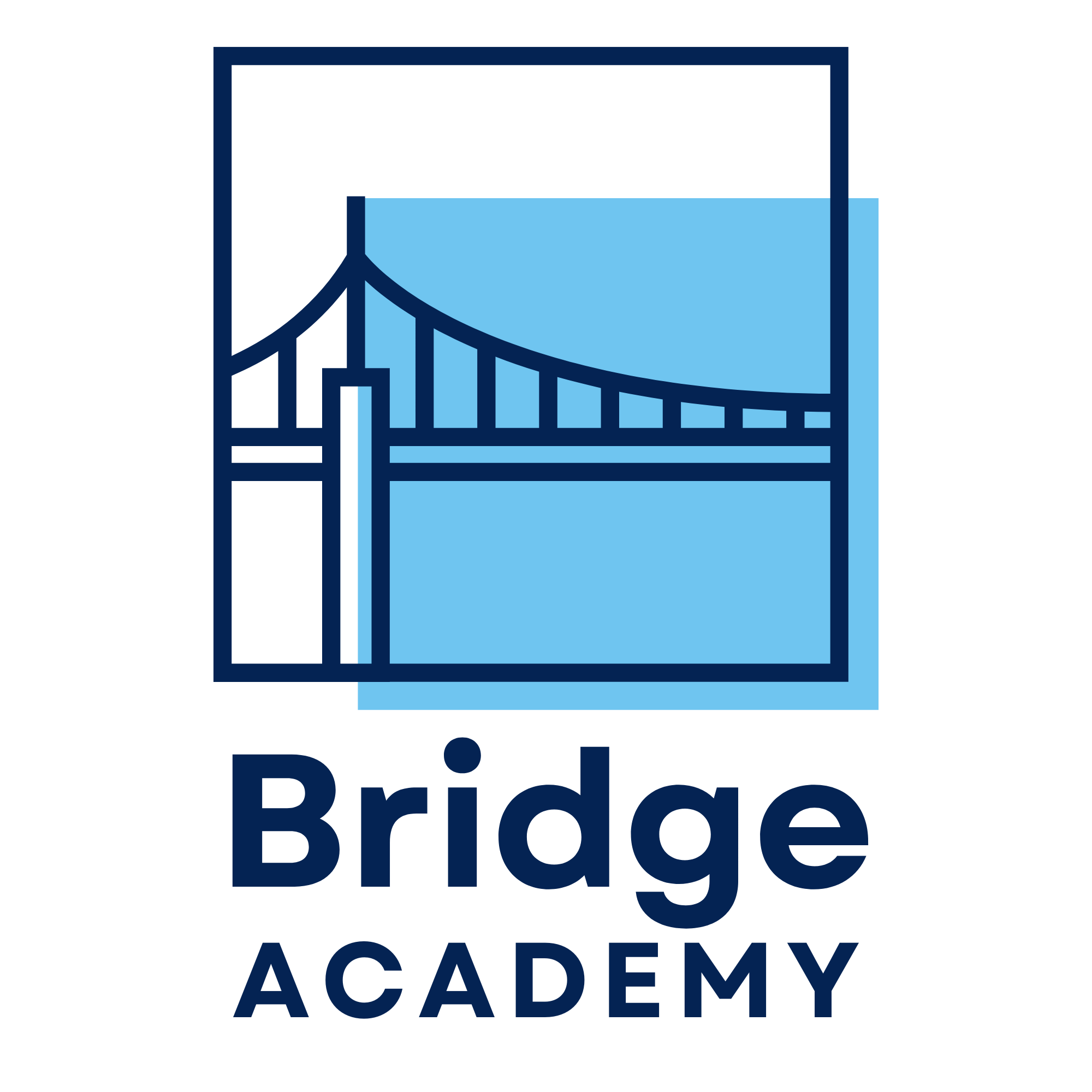 bridge academy logo